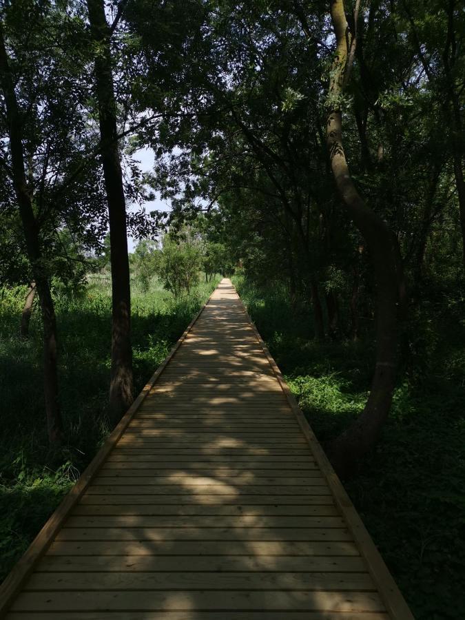 Apartma Vatovec Ancarano Esterno foto