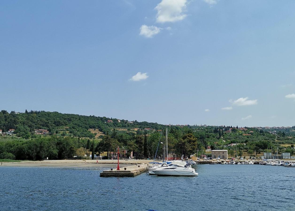 Apartma Vatovec Ancarano Esterno foto