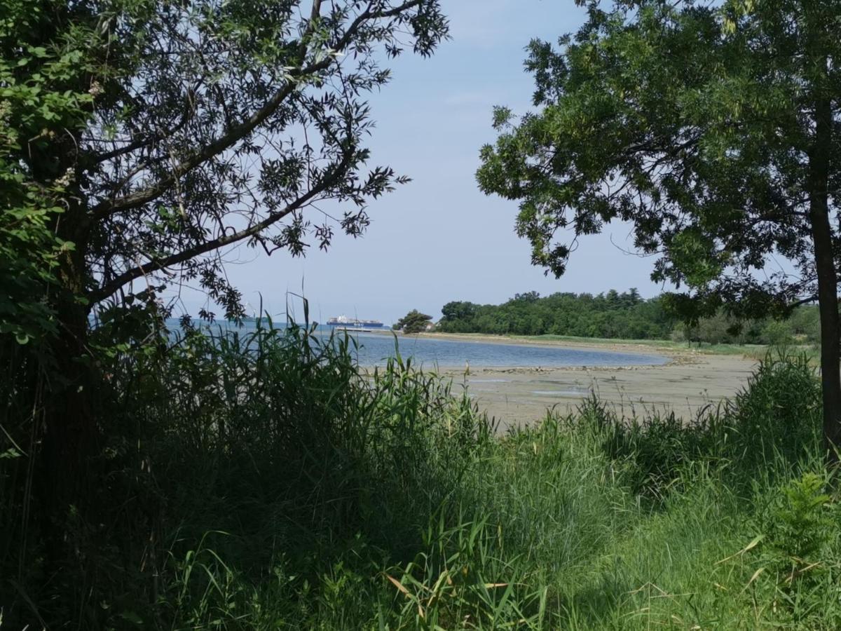 Apartma Vatovec Ancarano Esterno foto
